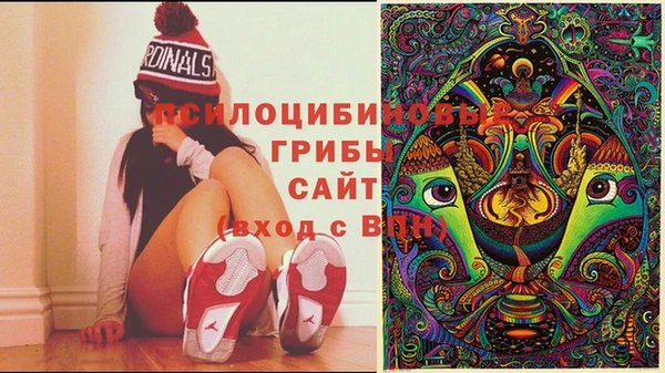 PSILOCYBIN Абдулино