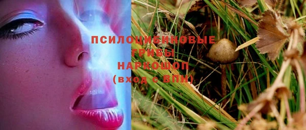 PSILOCYBIN Абдулино